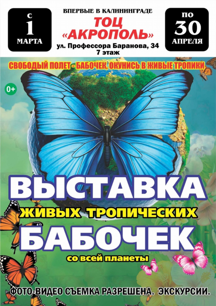 Акции в магазинах калининграда