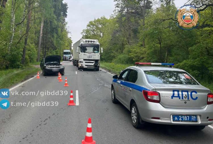 Автобус калининград балтийск расписание на сегодня