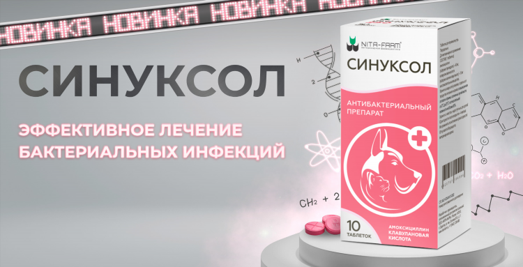 Безопасный город калининград магазин