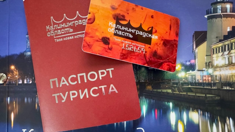 Бюро находок животные калининград