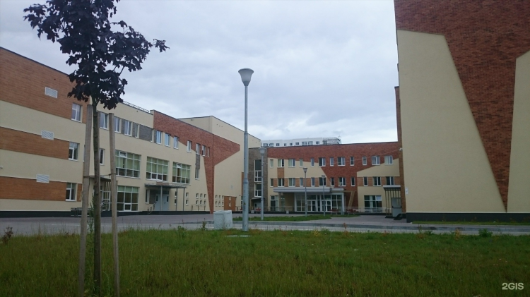 Элжур школы 38 калининград
