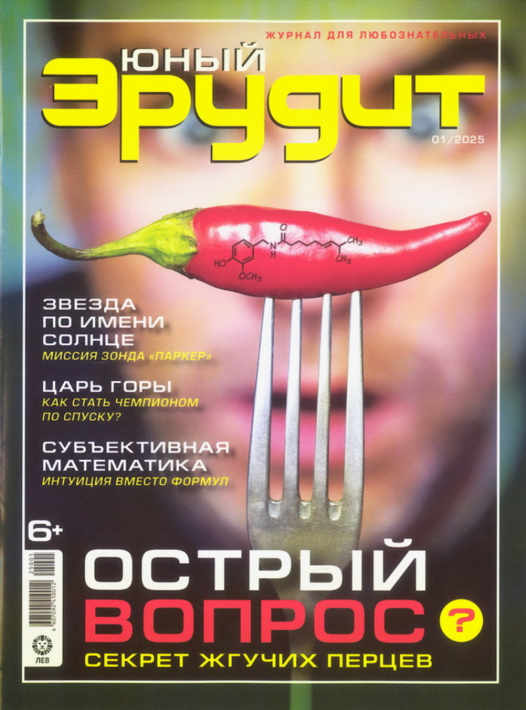Эрудит калининград официальный сайт