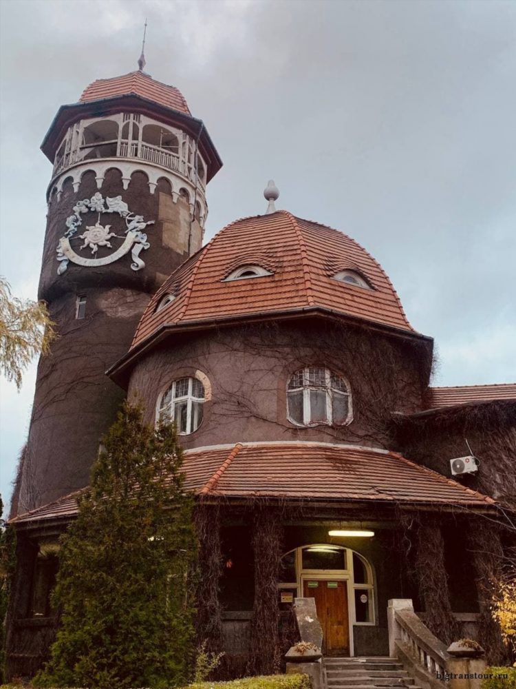 Гринвей калининград официальный