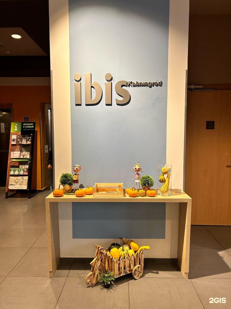 Ibis калининград отель официальный сайт