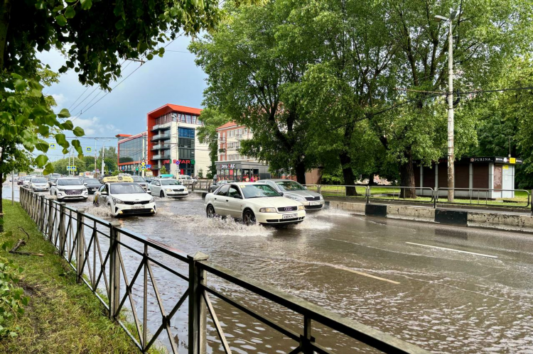 Калининград происшествия сегодня