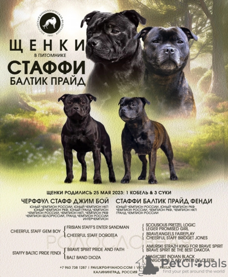 Калининград в какой стране находится