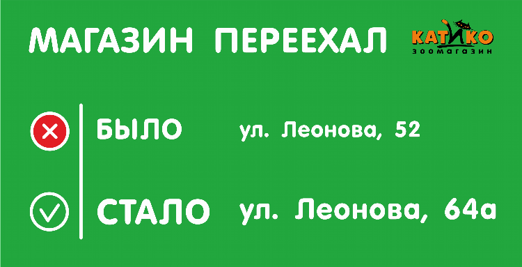 Катико зоомагазин калининград официальный