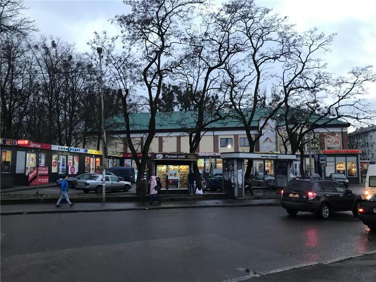 Кинолэнд калининград