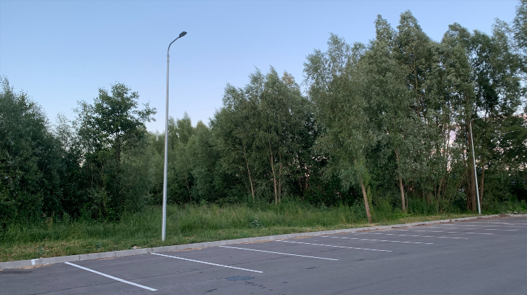 Компенсационное озеленение калининград