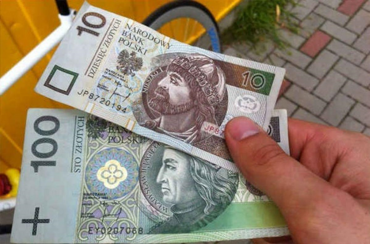 Курс злотого на сегодня в калининграде