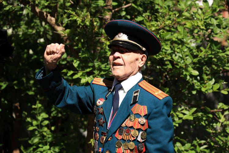 Курская дуга калининград