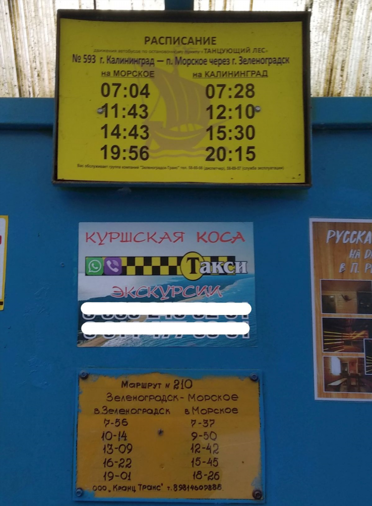 Маршрут автобуса 19 калининград