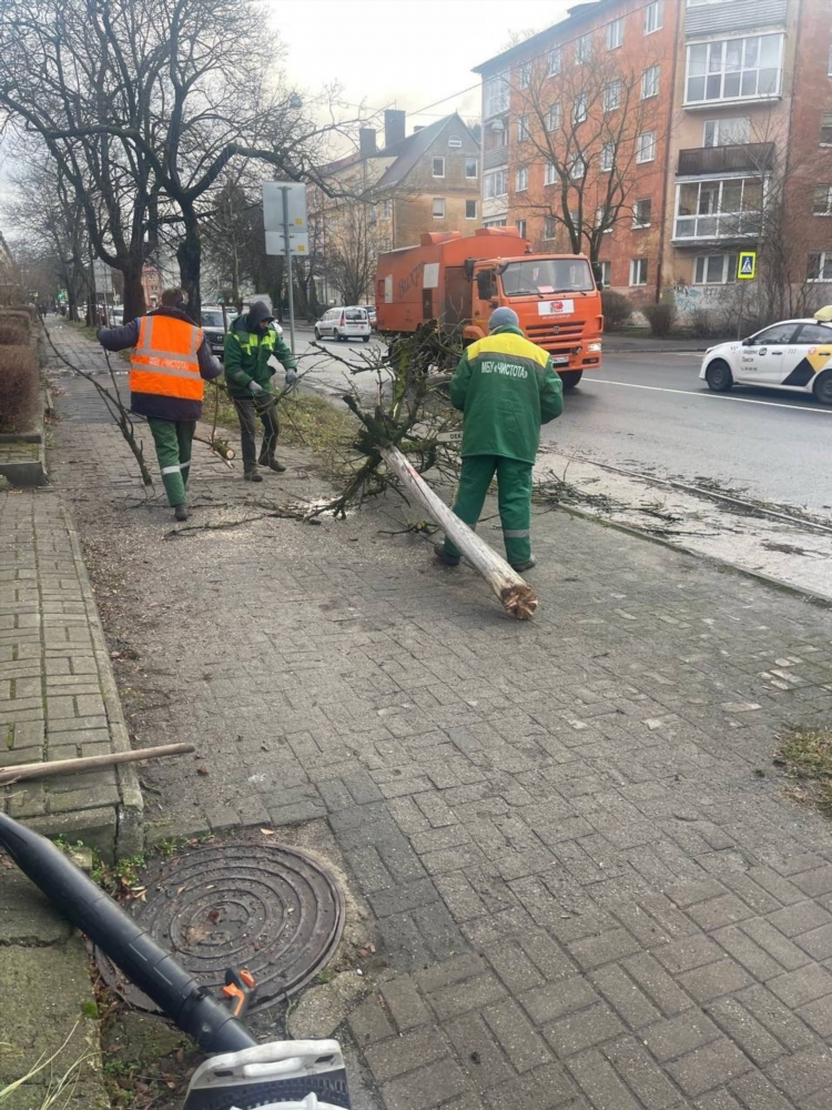 Мбу чистота калининград