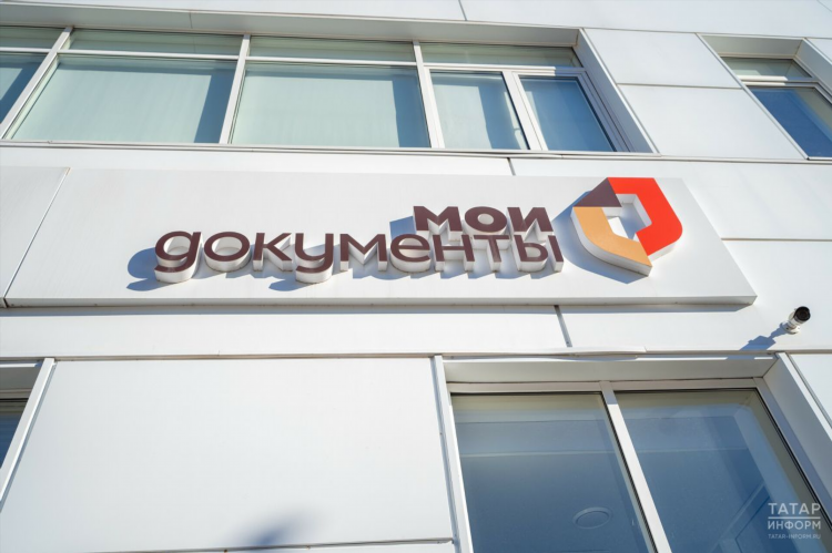 Мфц калининград телефон горячей линии