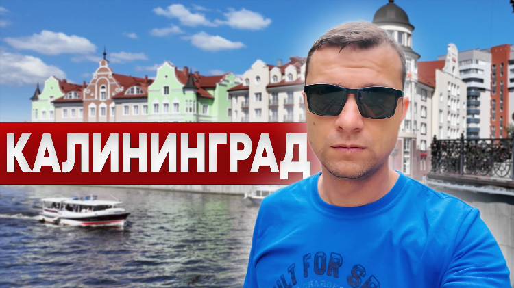 Новик калининград