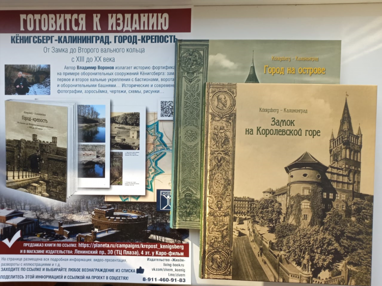 Новый век калининград