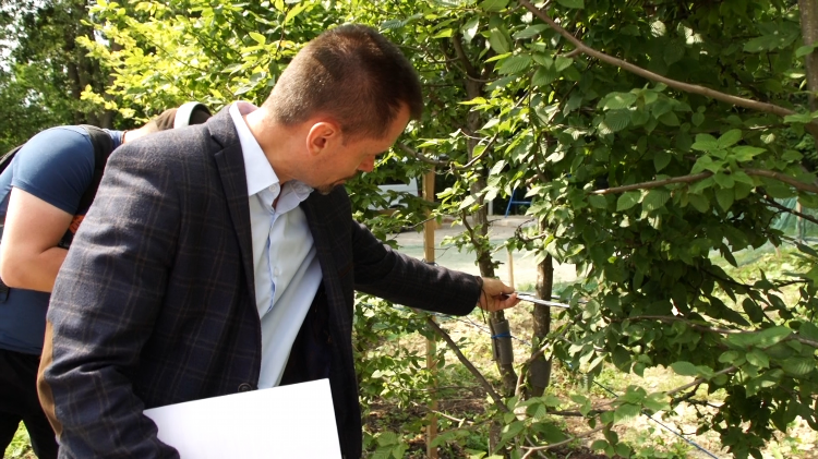 Отдел озеленения и благоустройства калининград