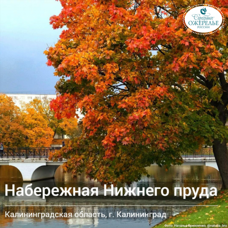 Парки калининграда лучшие