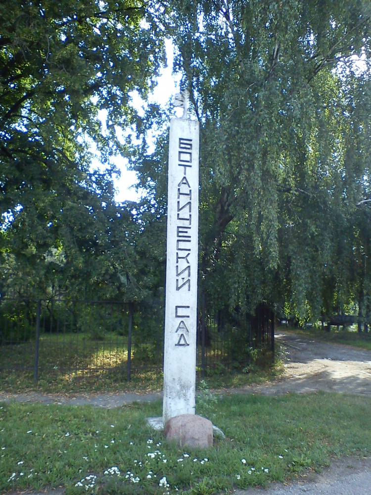 Парковая аллея калининград