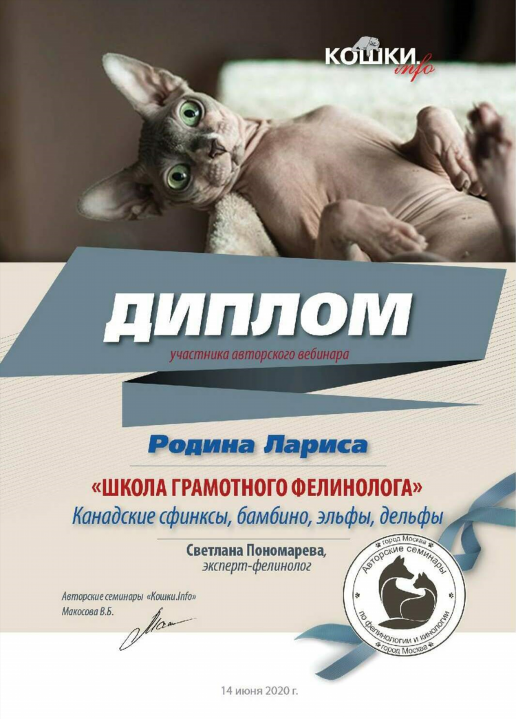 Питомники кошек в калининграде