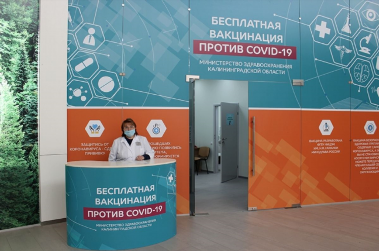 Продвижение сайтов калининград