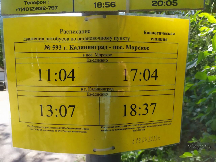 Расписание автобуса 147 калининград