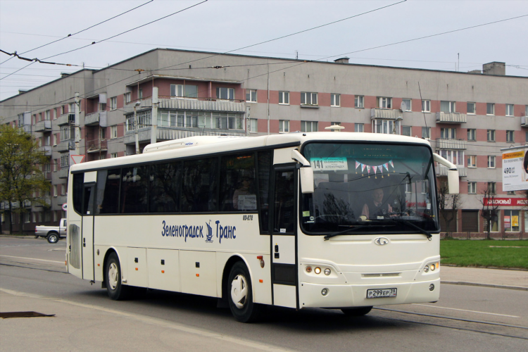 Расписание автобусов 141 калининград зеленоградск