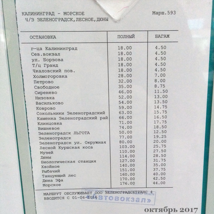 Расписание автобусов донское калининград 125
