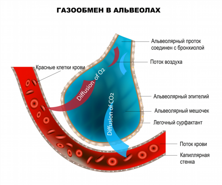 Расстояние от калининграда до барнаула