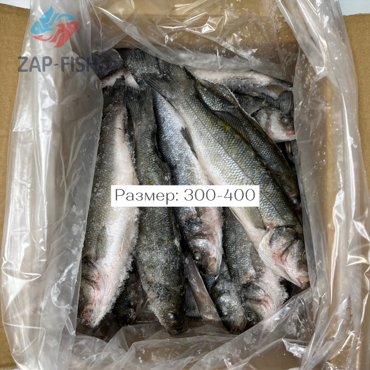 Рыба калининград купить