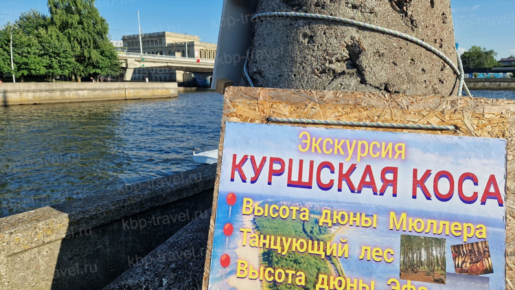 В какой природной зоне расположен калининград
