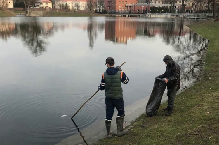 Водоемы калининграда
